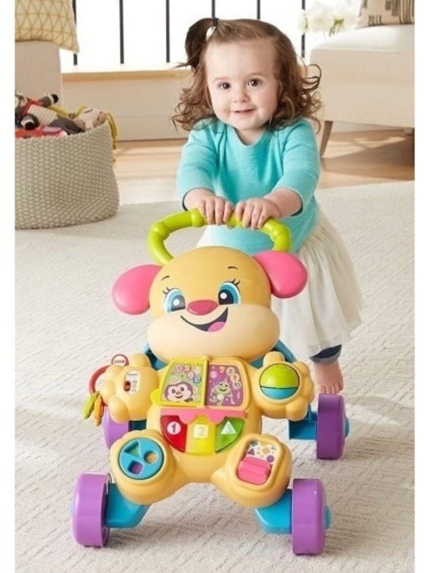Mattel fisher-price εκπαιδευτική στράτα σκυλάκι smart stages ροζ ftc68 - Fisher-Price