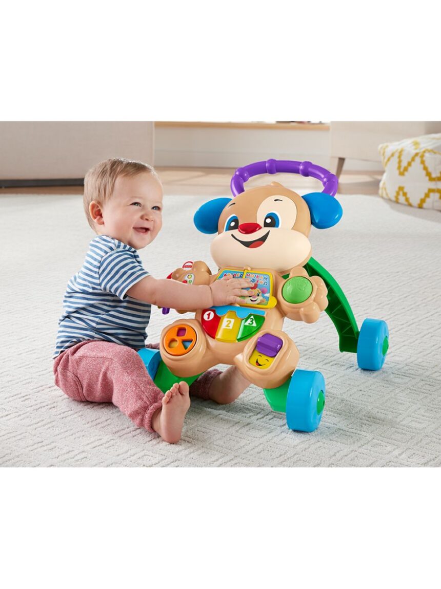 Fisher-price εκπαιδευτική στράτα σκυλάκι smart stages ftc66 - Fisher-Price
