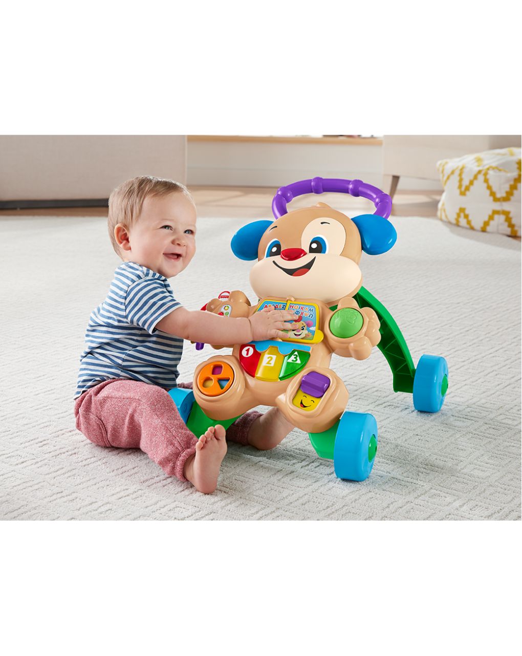 Fisher-price εκπαιδευτική στράτα σκυλάκι smart stages ftc66 - Fisher-Price