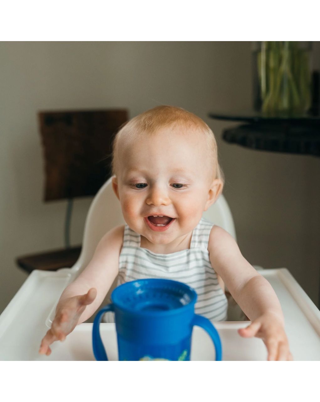 Dr. brown’s εκπαιδευτικό ποτηράκι 360° με λαβές 6m+ 200ml ζωάκια μπλε 112.70.1hc.353 - Dr Browns