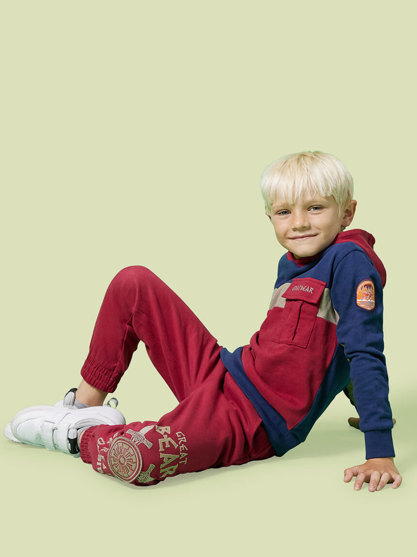 παιδική μπλούζα φούτερ great bear για αγόρι - Prénatal