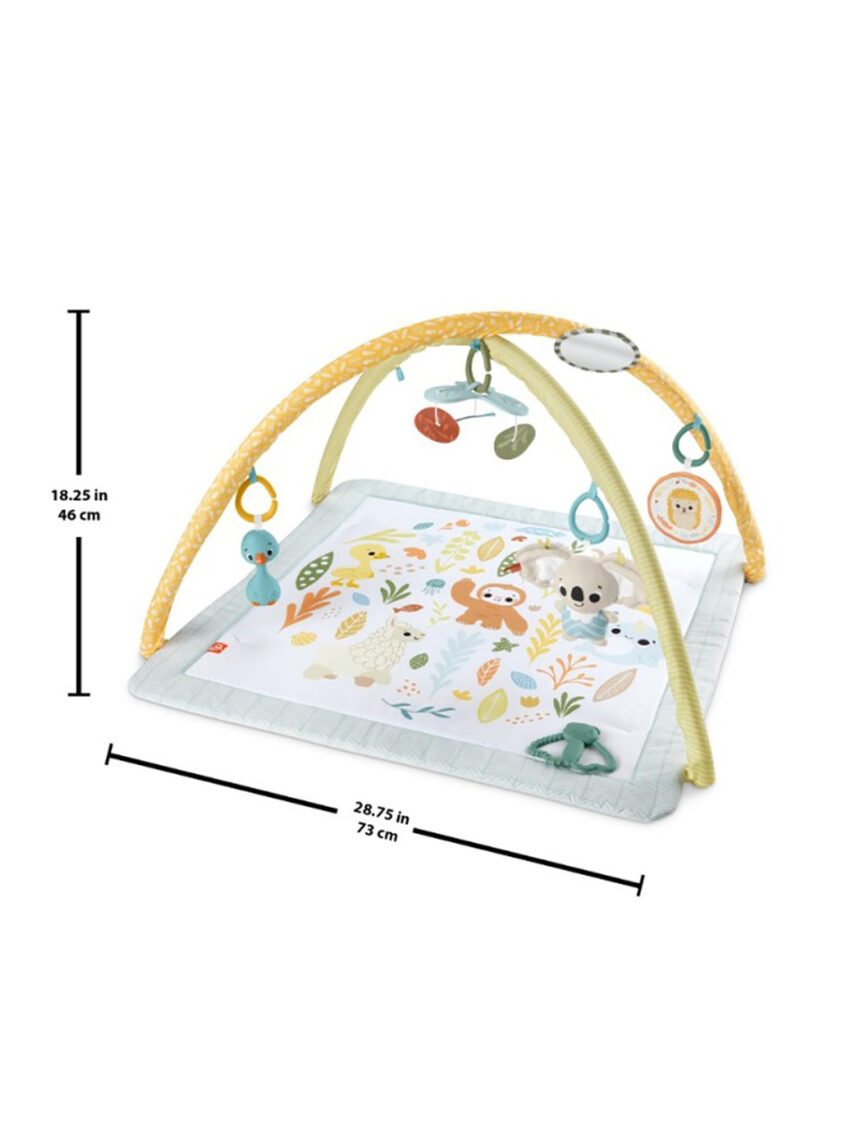 Fisher-price γυμναστήριο – οι πρώτες του αισθήσεις hrb15 - Fisher-Price