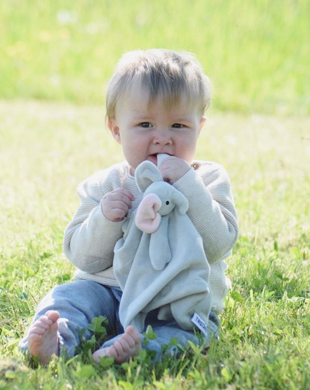 Twistshake πανάκι παρηγοριάς ελέφαντας 32-08-78513 - Twistshake