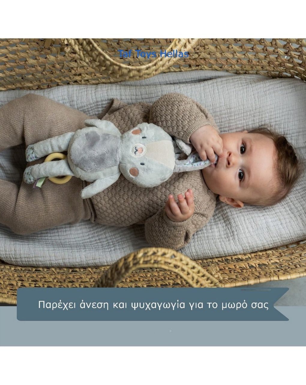 Taf τoys μουσικό λαγουδάκι rylee musical bunny t-13165 - Taf-toys