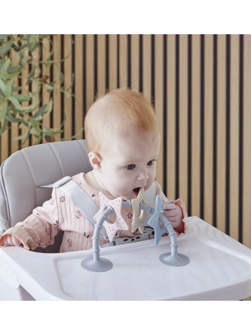 Shnuggle παιχνίδι μπάνιου star sensory suction toy - SHNUGGLE
