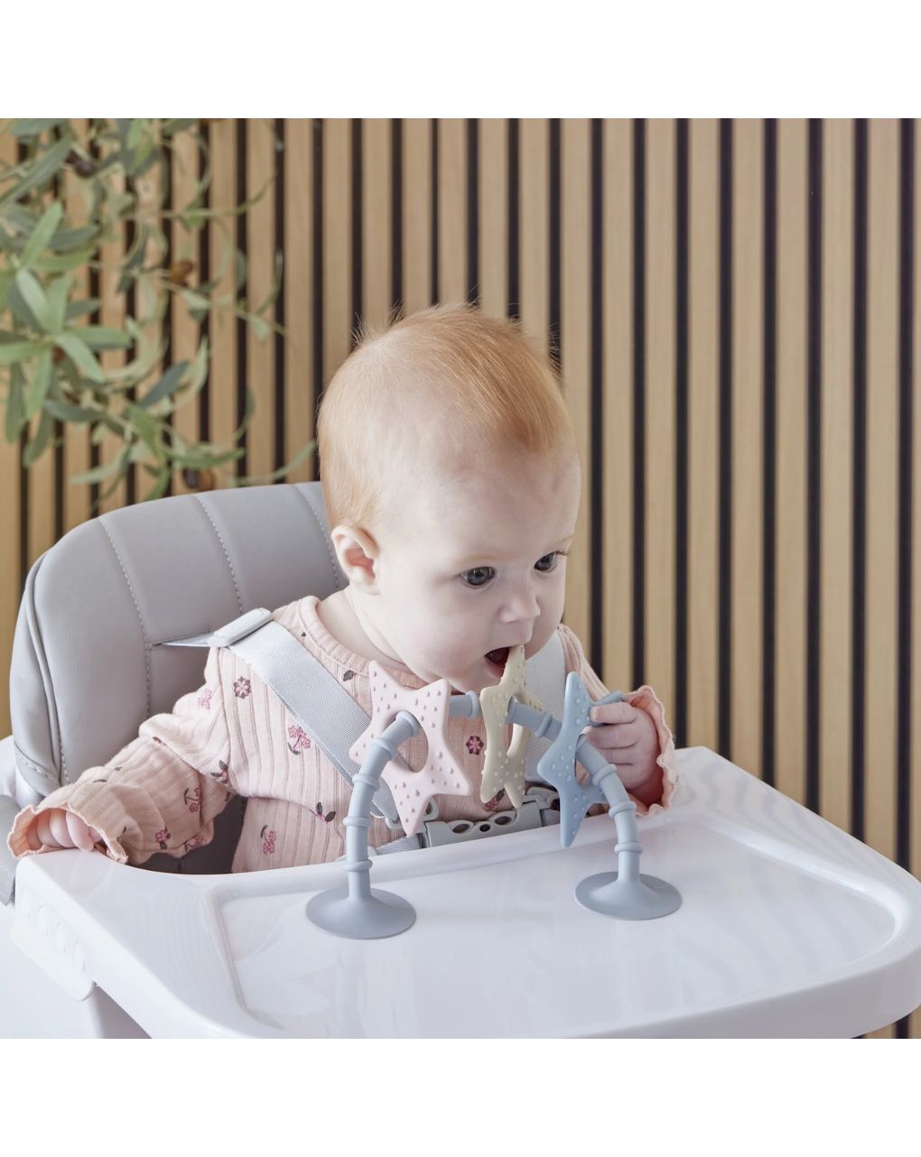 Shnuggle παιχνίδι μπάνιου star sensory suction toy - SHNUGGLE