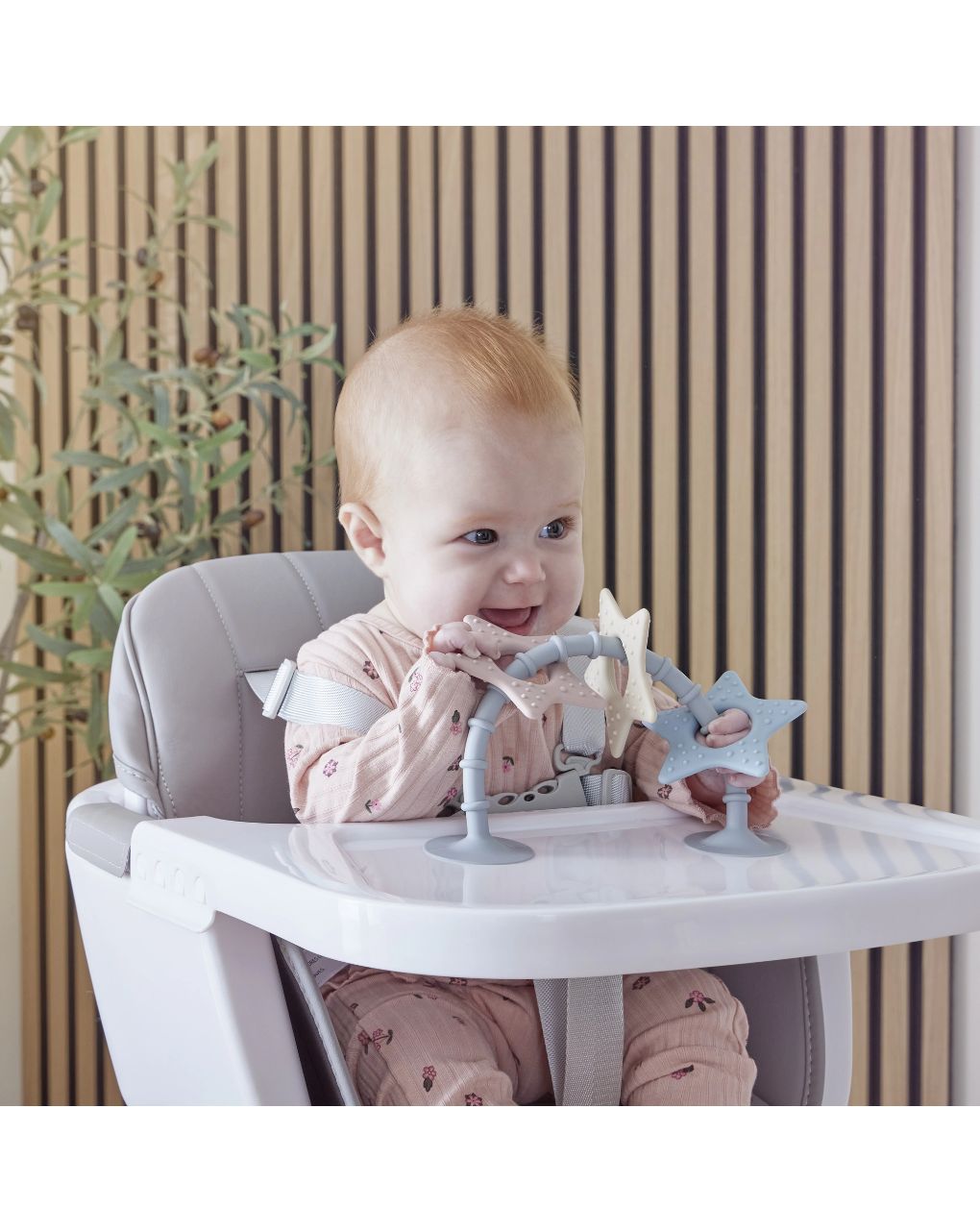 Shnuggle παιχνίδι μπάνιου star sensory suction toy - SHNUGGLE