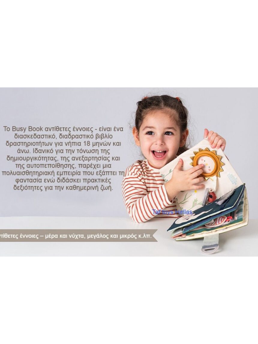 Taf toys βιβλίο δραστηριοτήτων fantasy busy book t13655 - Taf-toys