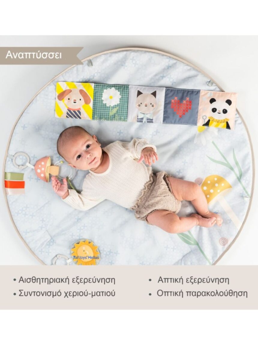 Taf toys γυμναστήριο δραστηριοτήτων melody bloom gym t13495 - Taf-toys