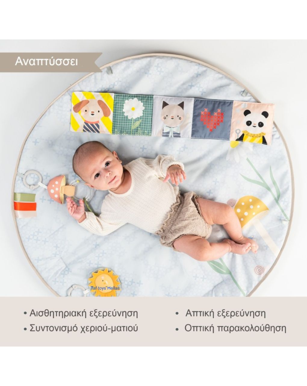 Taf toys γυμναστήριο δραστηριοτήτων melody bloom gym t13495 - Taf-toys