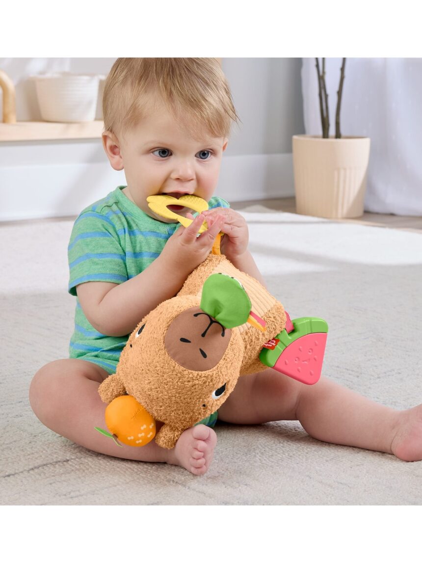 Mattel fisher price μαλακό καπιμπάρα δραστηριοτήτων 3m+ hyr54 - Fisher-Price