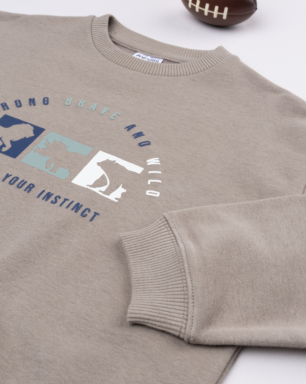 παιδική μπλούζα φούτερ καφέ brave για αγόρι - Prénatal