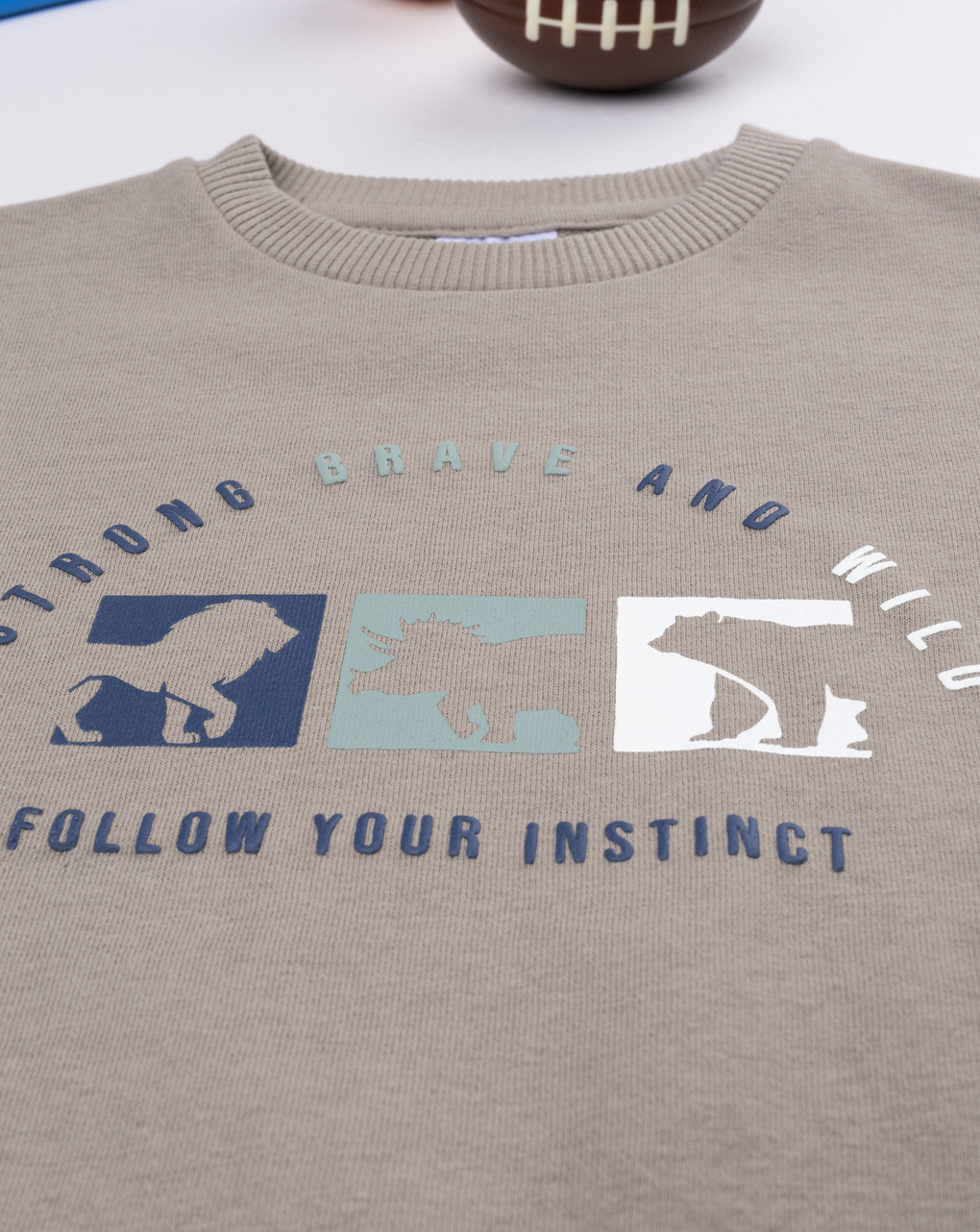 παιδική μπλούζα φούτερ καφέ brave για αγόρι - Prénatal