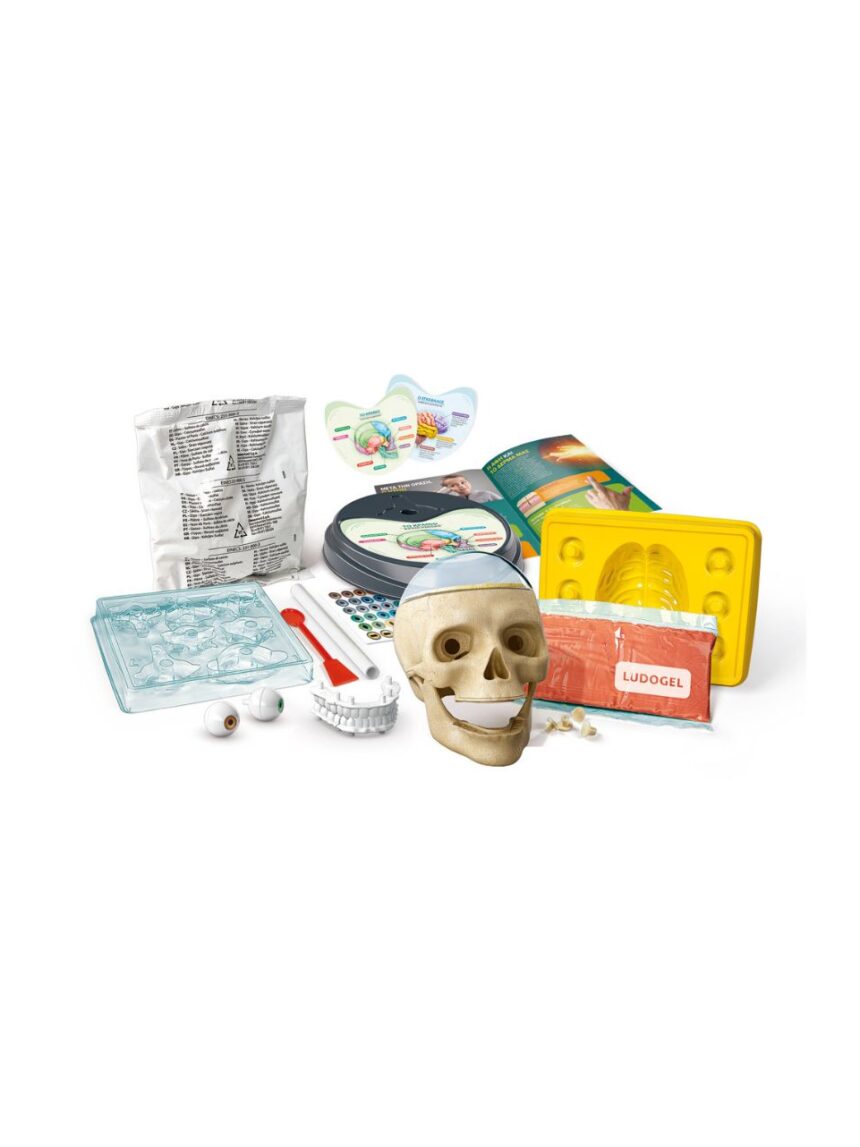 Clementoni μαθαίνω και δημιουργώ lab εκπαιδευτικό παιχνίδι ανατομία για μεγάλα μυαλά 1026-63400 - Clementoni