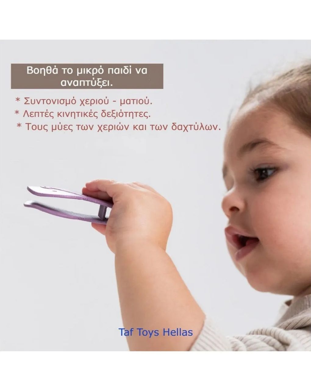 Taf toys παιχνίδι δραστηριοτήτων match & count bunny toy t-13215 - Taf-toys