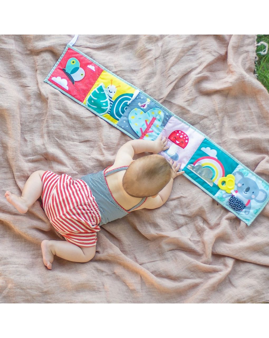 Taf toys koala clip-on pram book μαλακό βρεφικό βιβλίο δύο όψεων t-12615 - Taf-toys