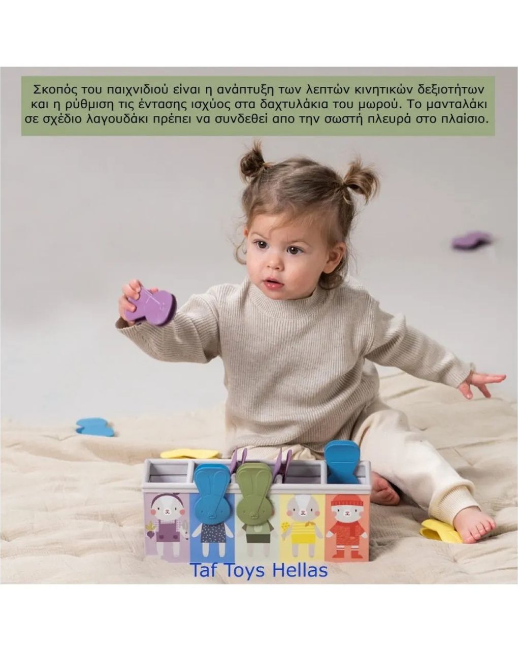 Taf toys παιχνίδι δραστηριοτήτων match & count bunny toy t-13215 - Taf-toys