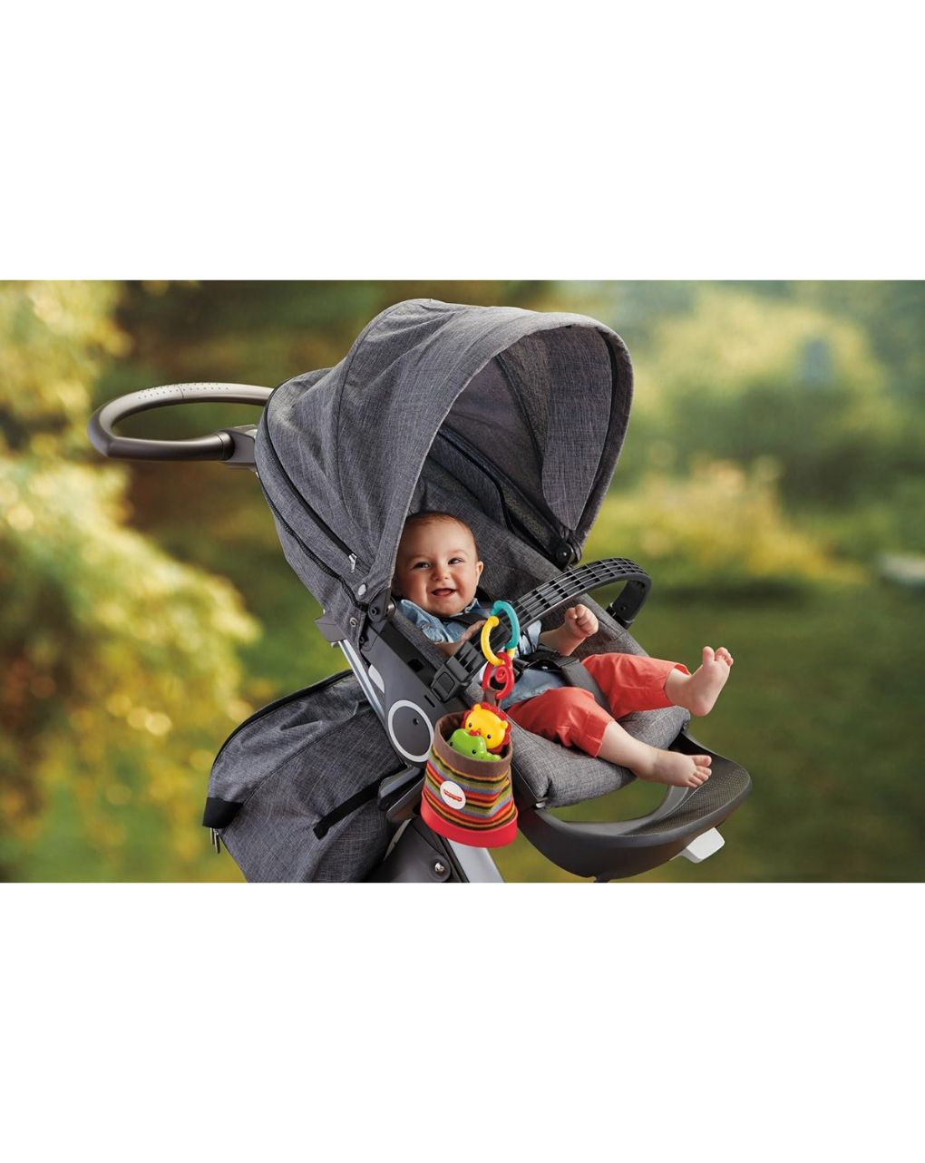 Mattel fisher-price ζωάκια με θήκη μεταφοράς dfp25 - Fisher-Price