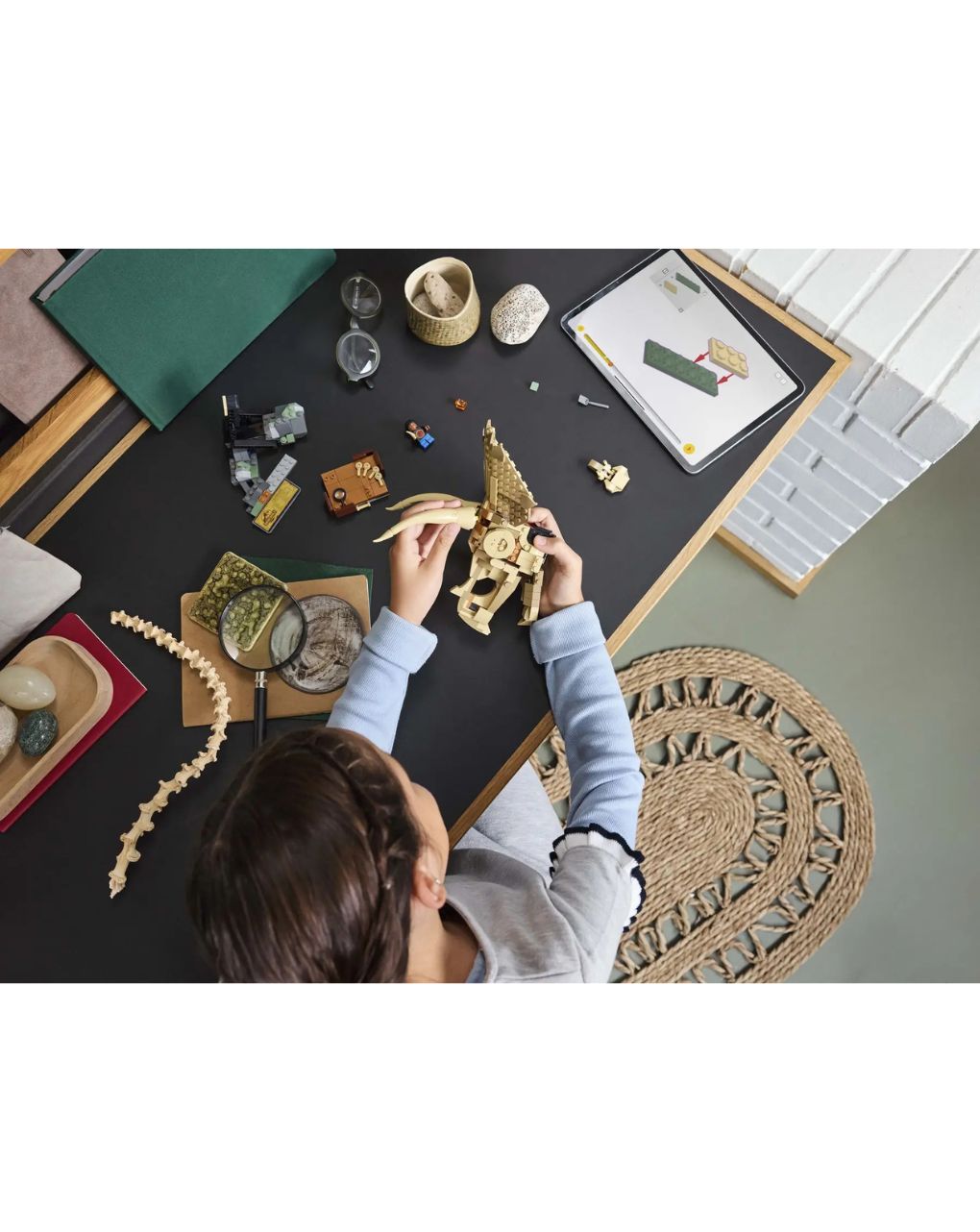 Lego jurassic world dinosaur fossils: triceratops skull 76969 - Lego