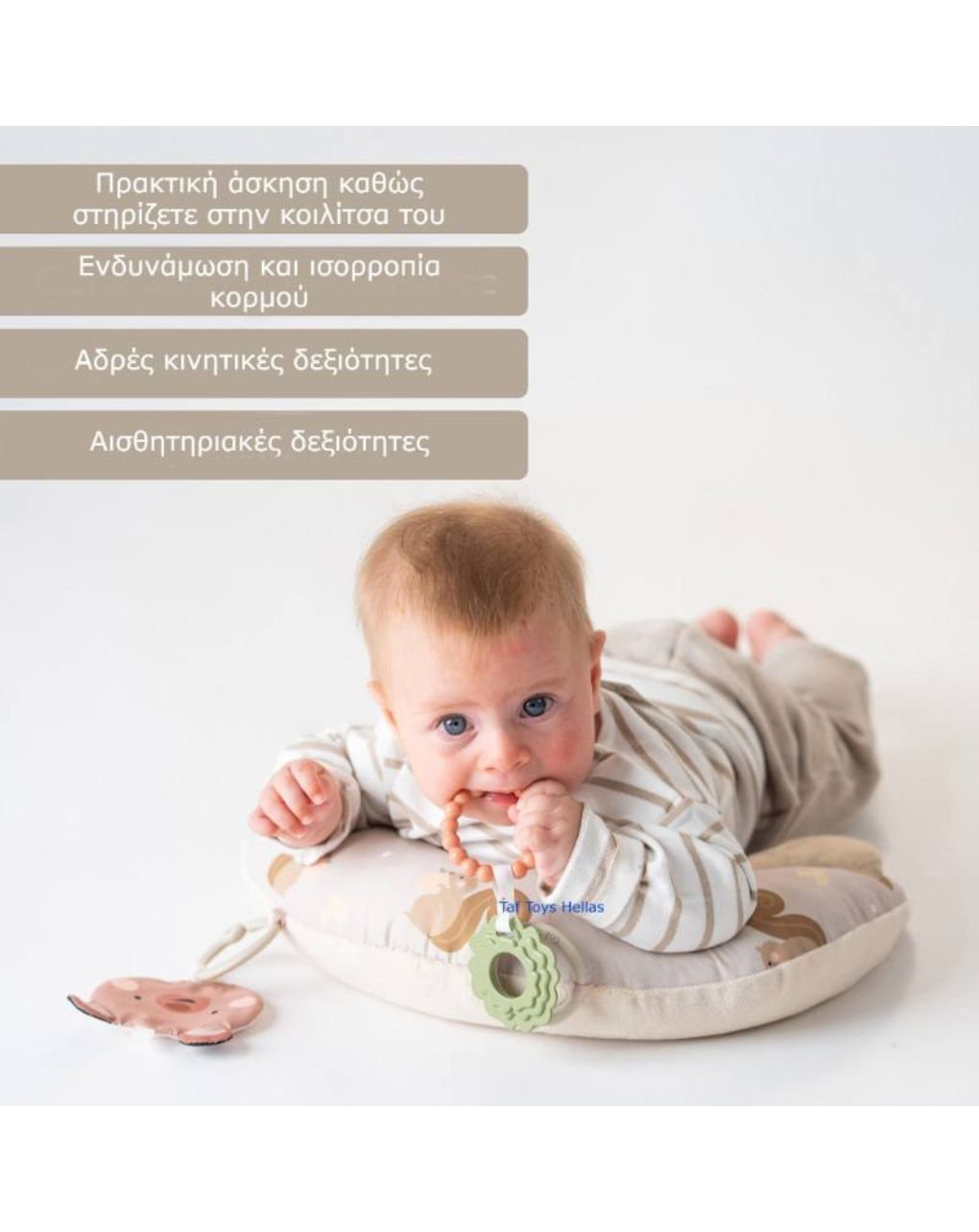 Taf toys tummy time first t-13805 - Taf-toys