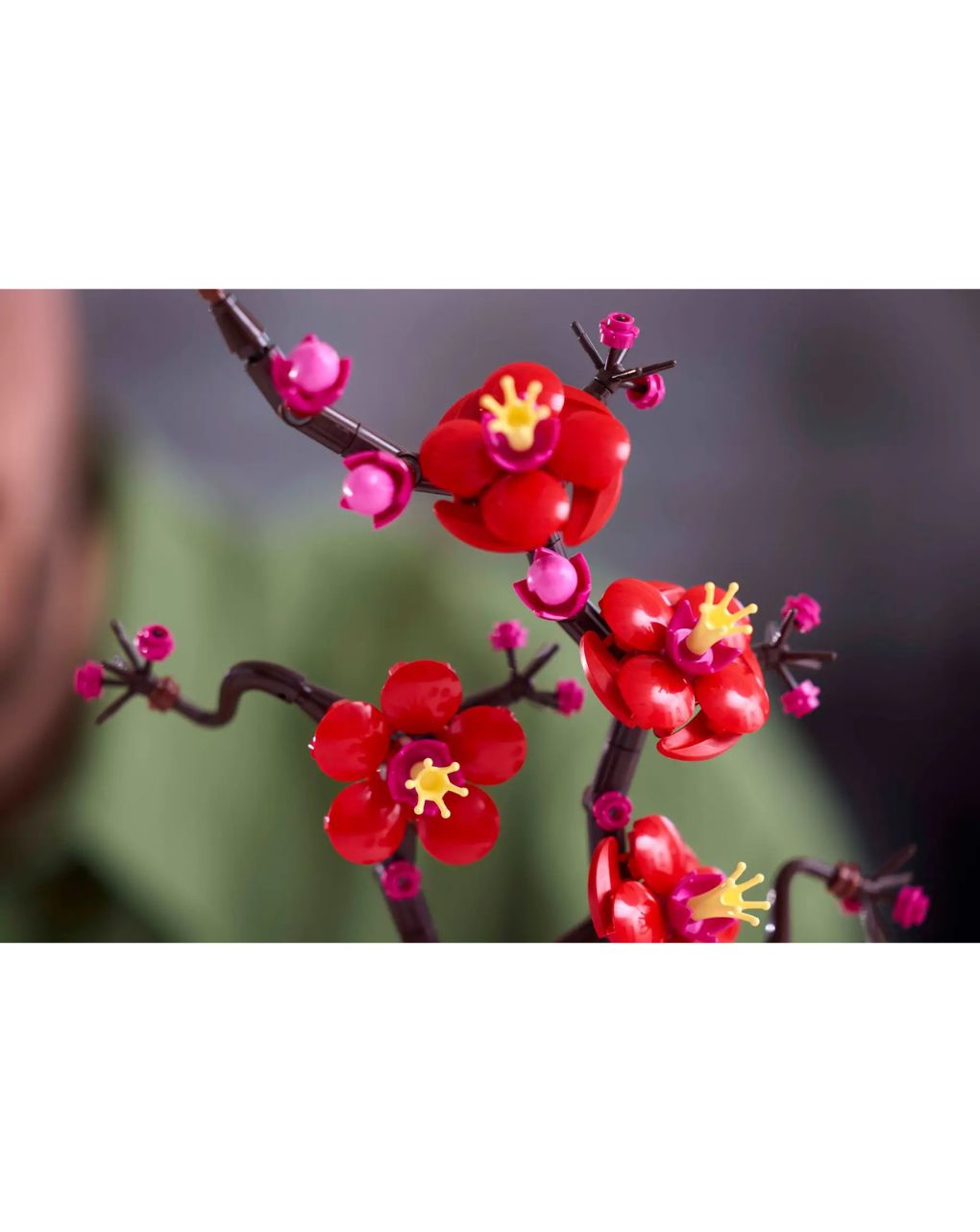 Lego icons botanical plum blossom 10369 - Lego, LEGO ICONS BOTANICAL