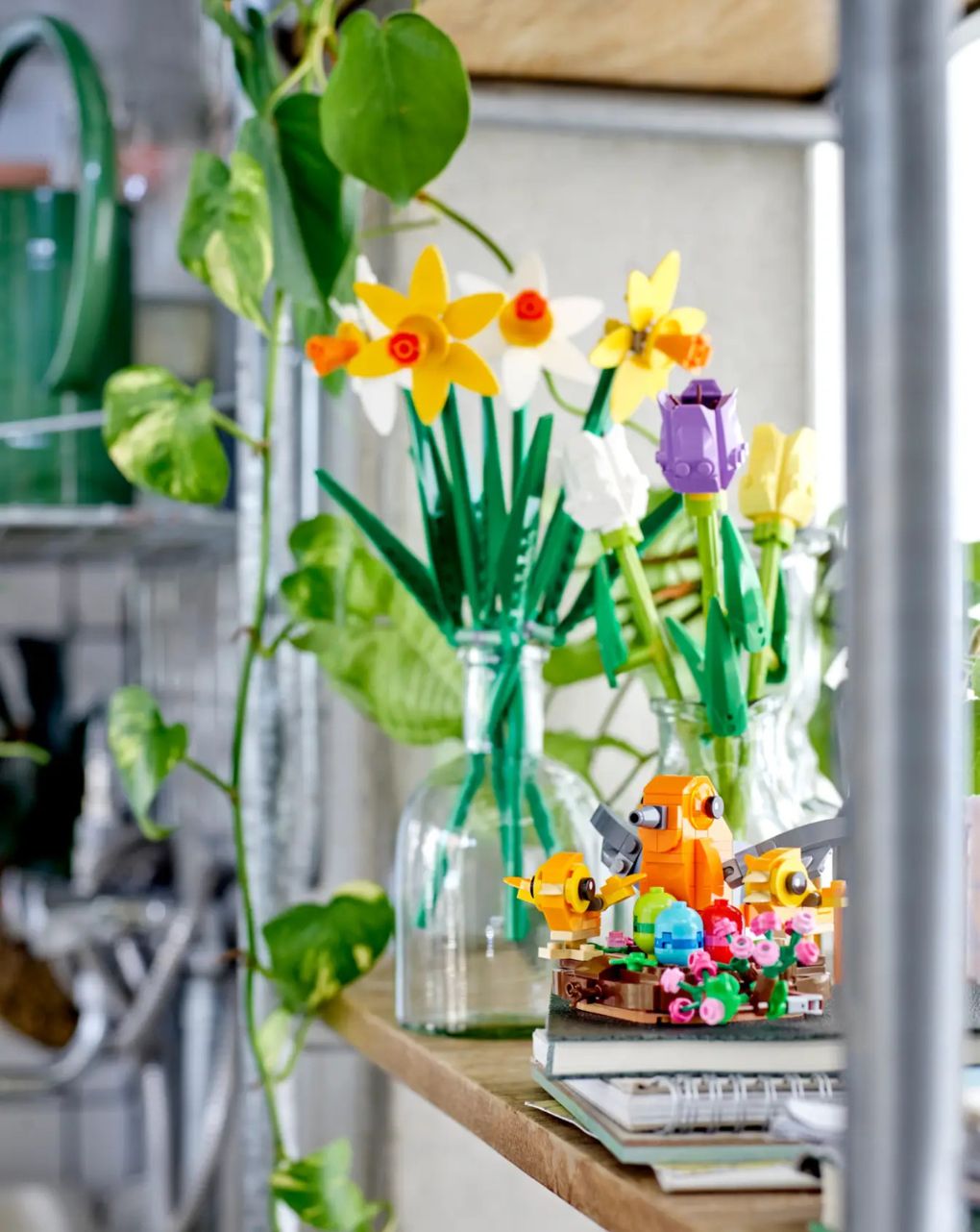 Lego creator bird’s nest 40639 - Lego, Lego Creator